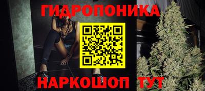 дживик Новодвинск