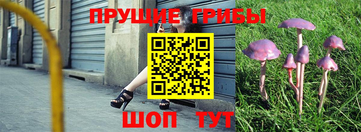 Сосновоборск  Галлюциногенные грибы прущие грибы  Вход с VPN 