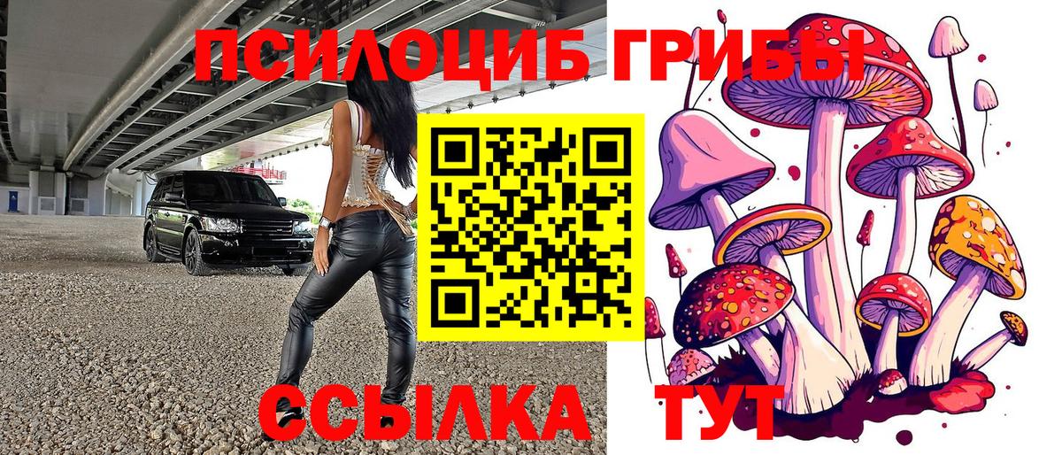 Галлюциногенные грибы ЛСД Сосновоборск