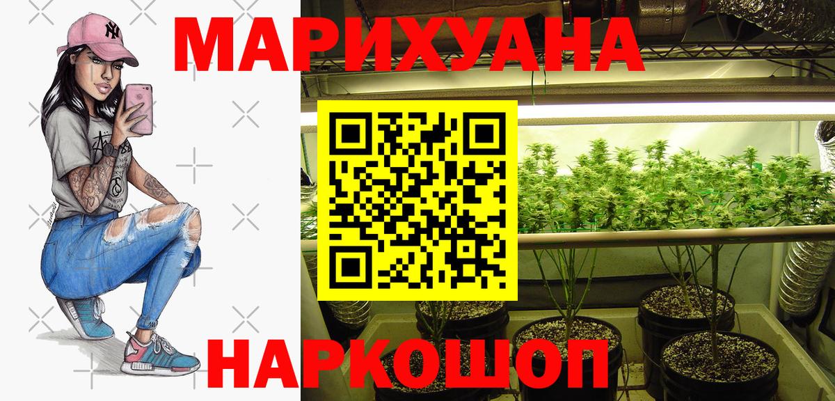 Бошки марихуана семена  Каннабис план  Вход с VPN  Шишки марихуана индика  Сосновоборск 